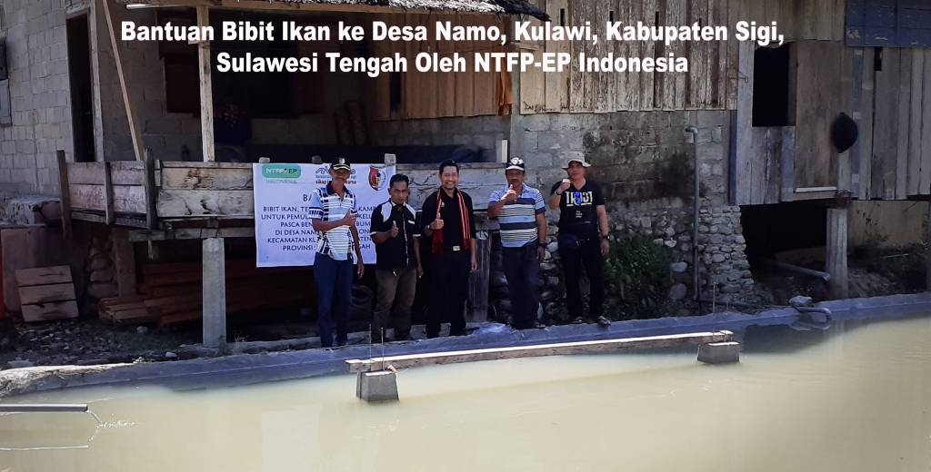Desa Namo, Sigi
