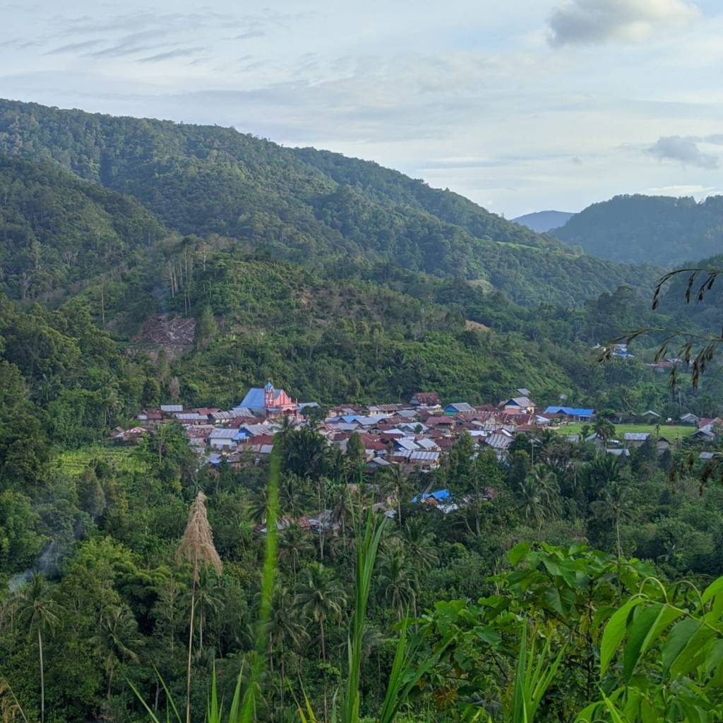 Desa Lonca, Kecamatan Kulawi, Kabupaten Sigi, Sulawesi Tengah Foto oleh: NTFP-EP Indonesia (2025) 